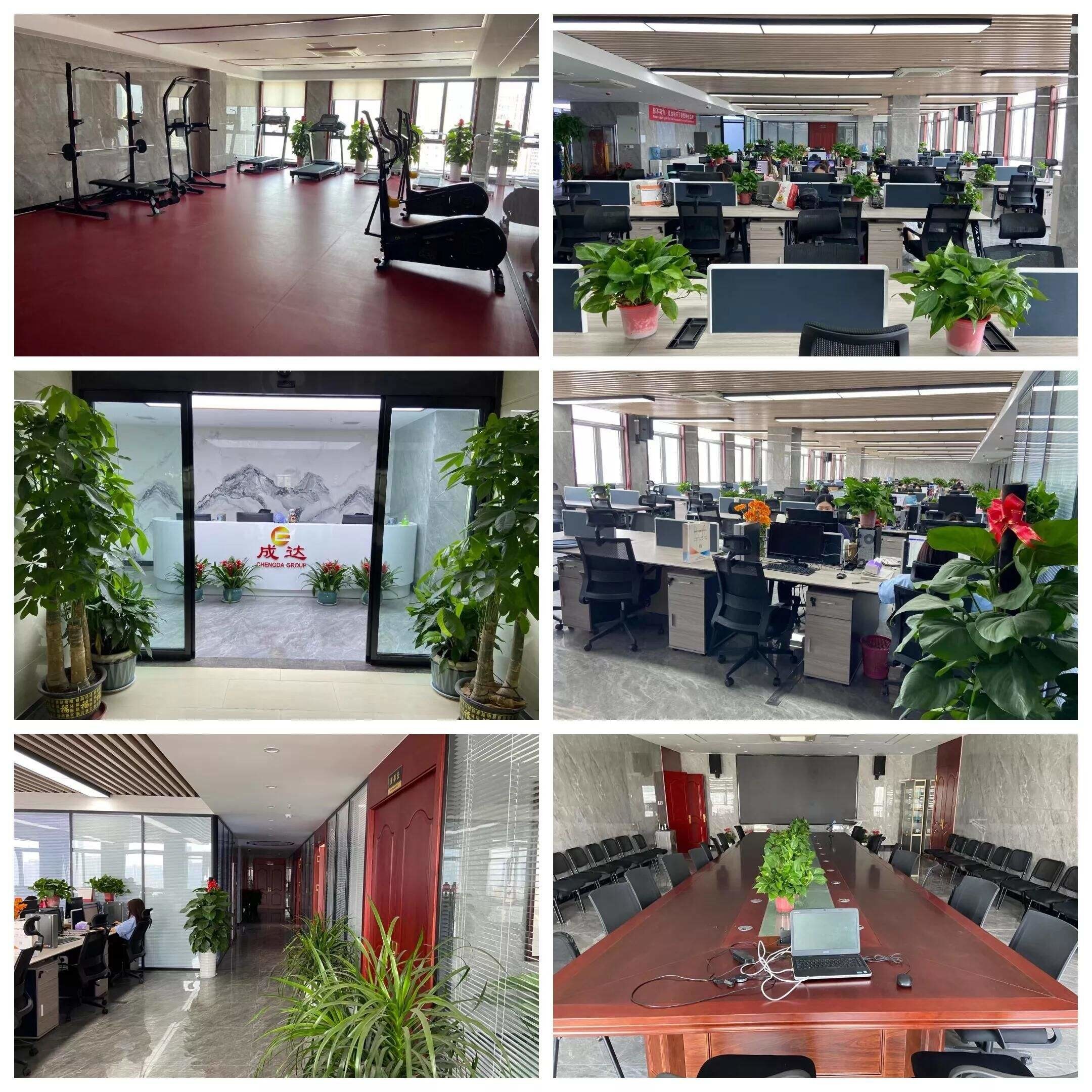 چین HUNAN DECOMLLC SUPPLY CHAIN CO., LTD. نمایه شرکت