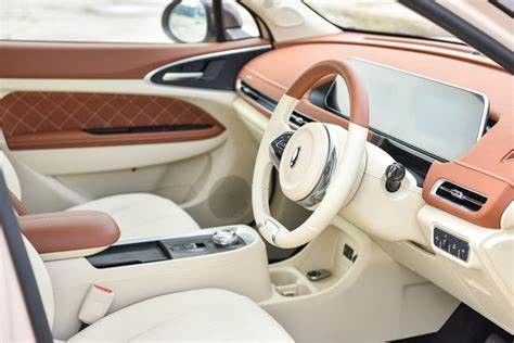 150km/h ECO Friendly Electric Vehicles 400KM ORA Good Cat Pure Electric Vehicles