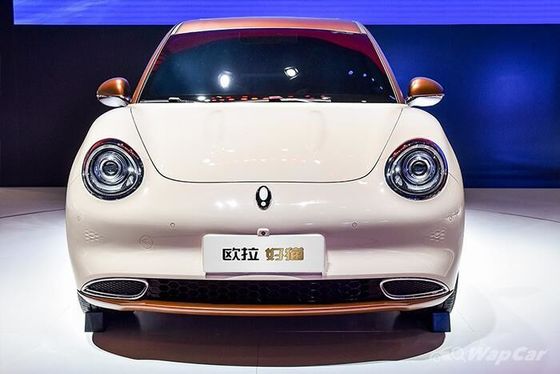 150km/h ECO Friendly Electric Vehicles 400KM ORA Good Cat Pure Electric Vehicles