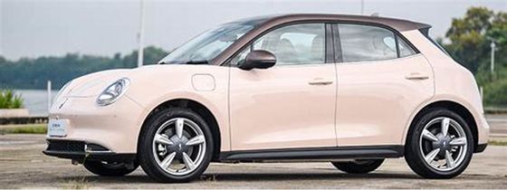 150km/h ECO Friendly Electric Vehicles 400KM ORA Good Cat Pure Electric Vehicles