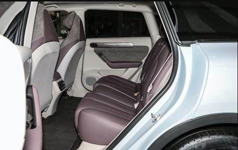 خودروهای پرسرعت الکتریکی خودروهای شاسی بلند جدید انرژی لینگپائو C11 برای بزرگسالان