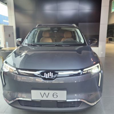 WM W6 خودروهای الکتریکی بزرگ 520 کیلومتر 620 کیلومتر SUV خودروهای الکتریکی ولتمیستر انرژی جدید