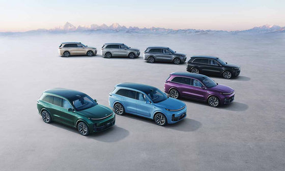 42.8 کیلووات ساعت باتری 6 صندلی SUV الکتریکی