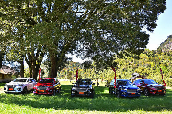 خودروهای برقی 4 چرخ متحرک 110 کیلومتری GWM Haval H6 DHT PHEV خودروهای هیبریدی به برق