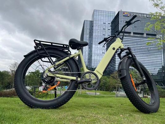EB11 26 اینچ X4.0 Step Through Fat Tire Electric Bike 250/750/1000w