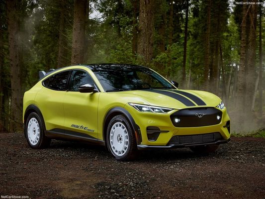 تعلیق رالی منحصر به فرد، احساس مسابقه ماشین خانوادگی در رالی فورد موستانگ Mach-E (2024) 480 اسب