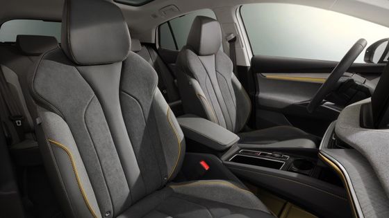 ماشین های الکتریکی خالص 132kw/179Ps کل قدرت WLTP 408km