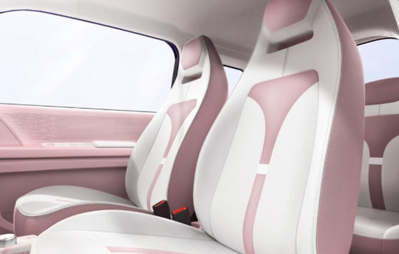 گزینه های چند رنگی ماشین های مینی ایو ژیدو رنگین کمان با CLTP 205km 17.13/17.3kwh باتری برای 20&30kw قدرت